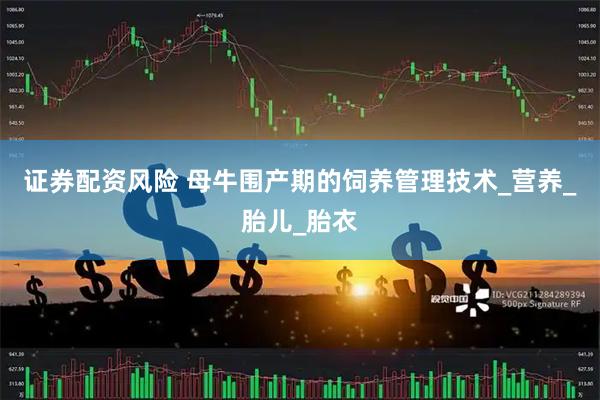 证券配资风险 母牛围产期的饲养管理技术_营养_胎儿_胎衣